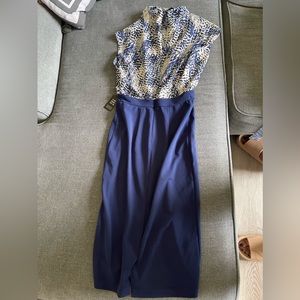 Blue express Dress